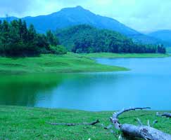 Package Tour To Periyar