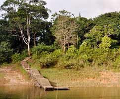 Tour Package Periyar