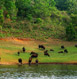 Periyar Tour Packages